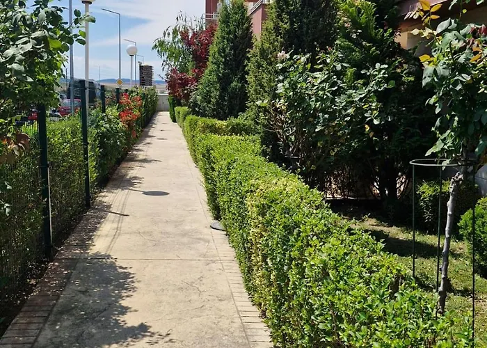 Sun Travel Sunny * Sunny Beach